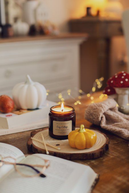 COSY COTTAGE