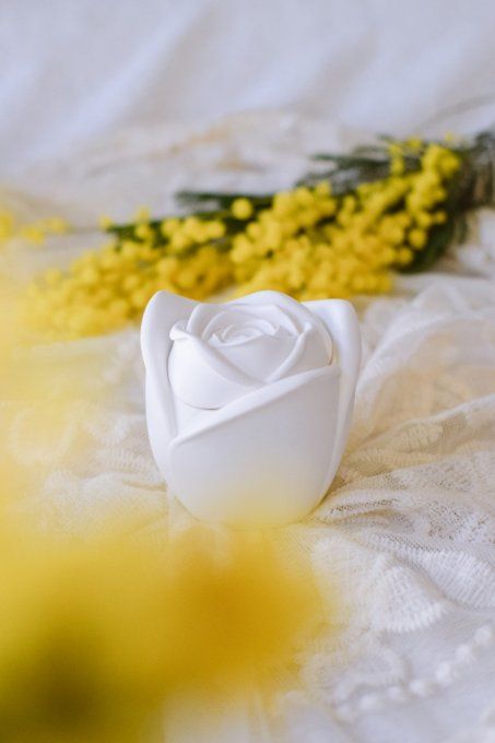 Pot Une rose
