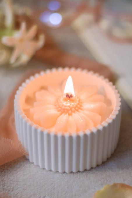 Bougie pâquerette