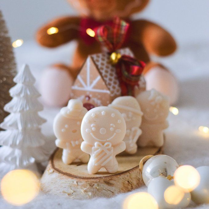 Fondants parfumés "La Petite Maison Gingerbread" – Coffret de Noël artisanal (4 formes différentes)