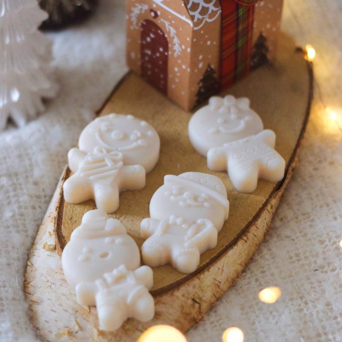 Fondants parfumés "La Petite Maison Gingerbread" – Coffret de Noël artisanal (4 formes différentes)