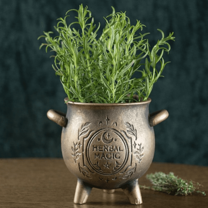 Pot de fleurs en terre cuite effet bronze Herbal Magic