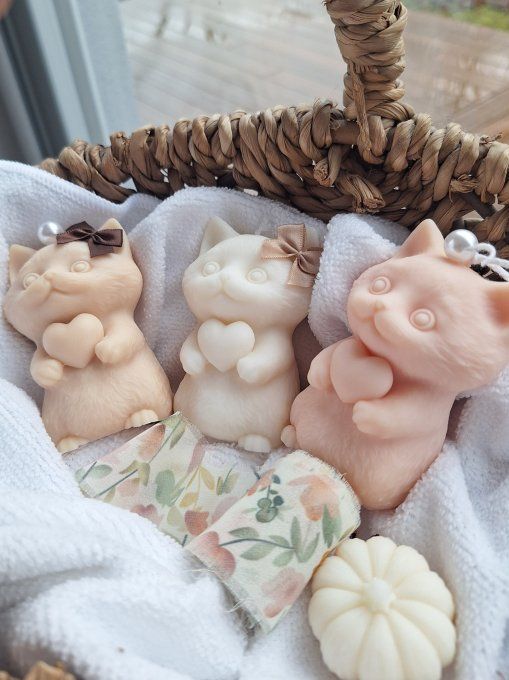 Bougie coeur de Minou