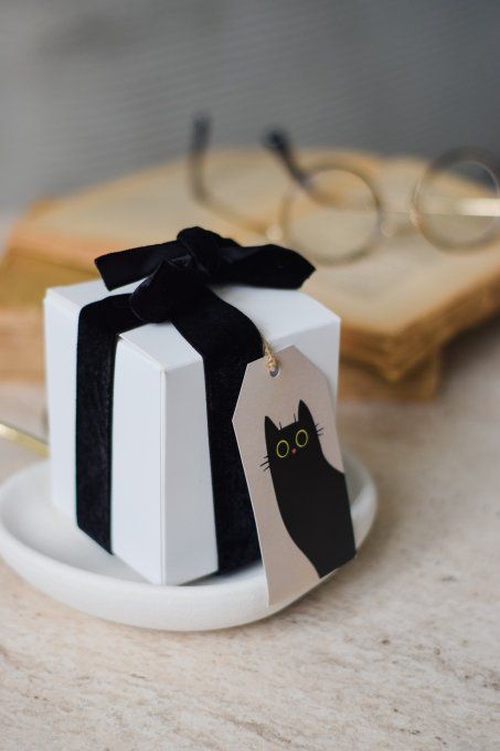 Chat'pitres et Flammes