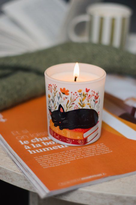 Chat'pitres et Flammes
