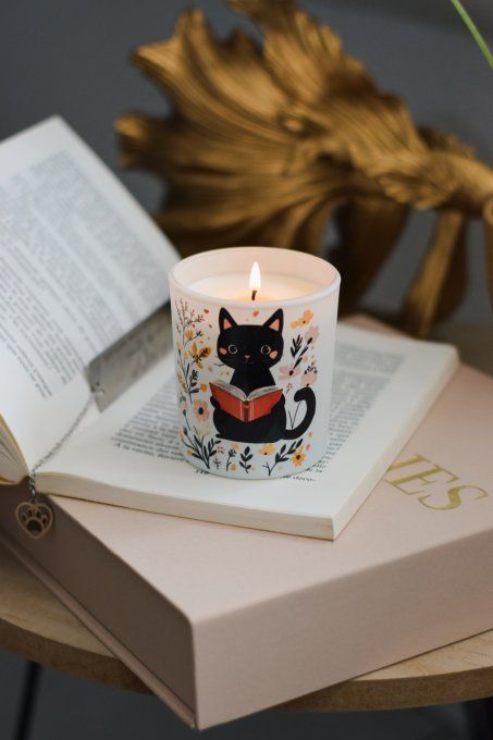 Chat'pitres et Flammes