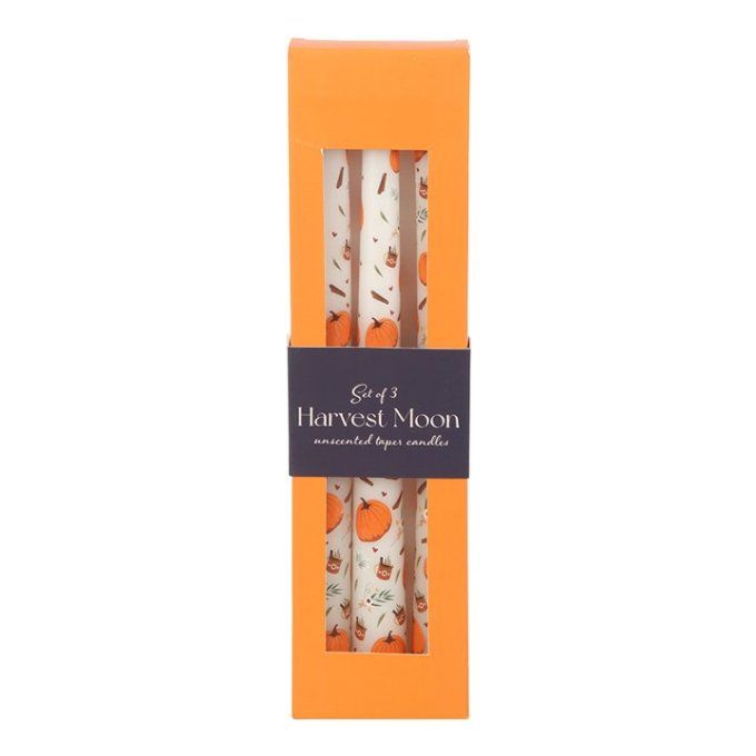 Lot de 3 bougies effilées en forme de citrouille