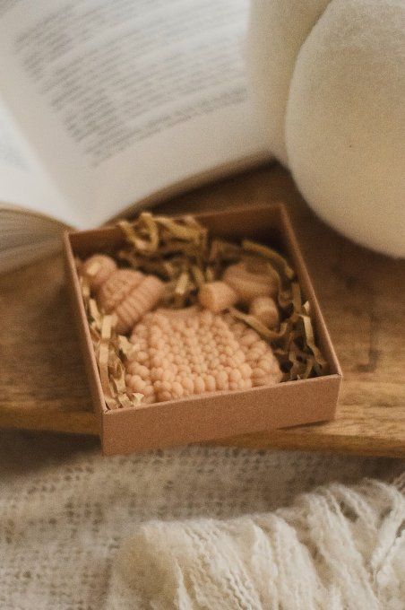 Fondants parfumés Rory Gilmore