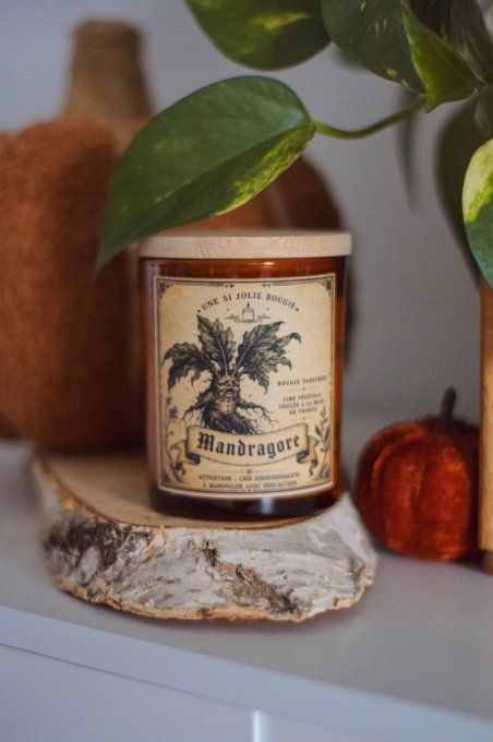  Bougie parfumée Mandragore