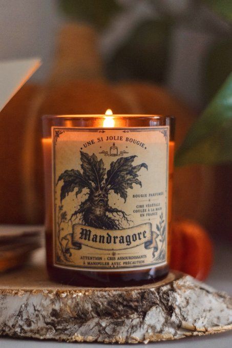  Bougie parfumée Mandragore