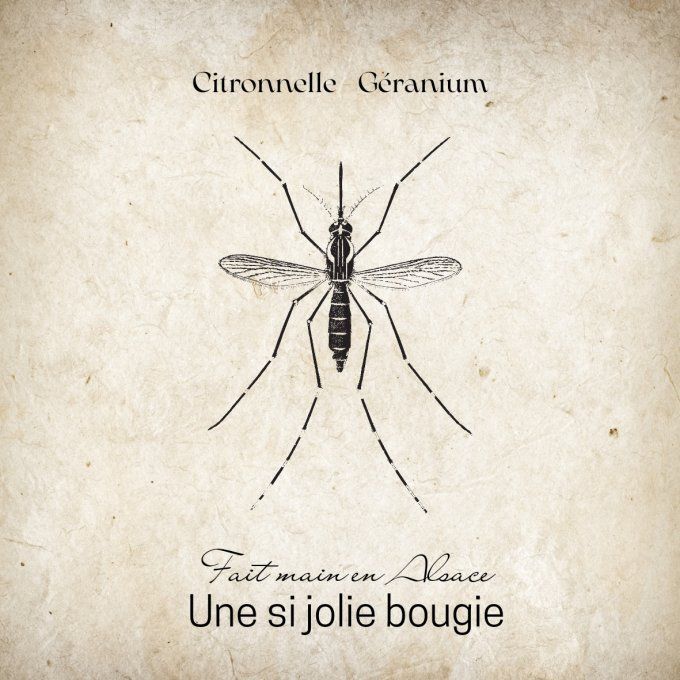 Bougie citronnelle géranium