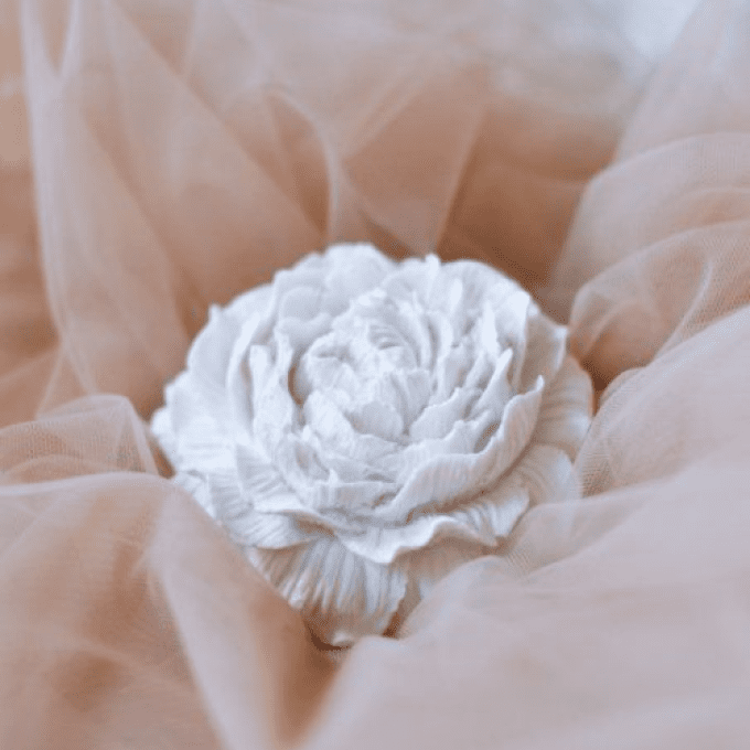 Décor en plâtre Pivoine