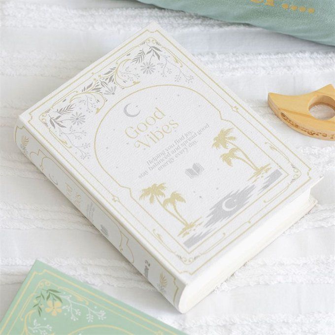 Boîte de rangement en forme de livre