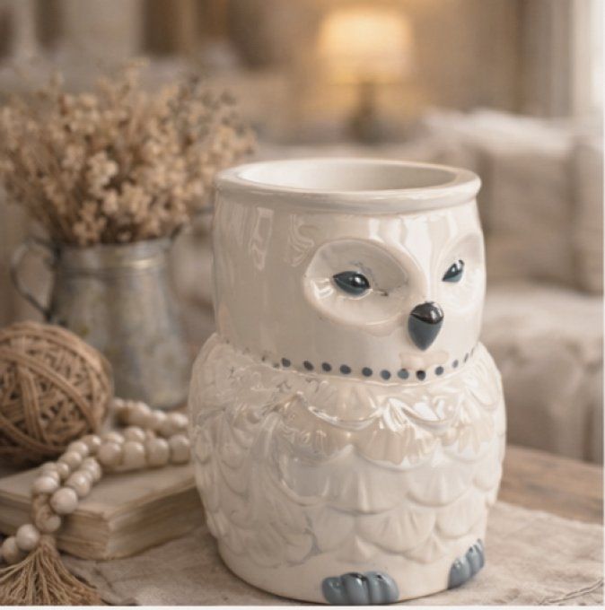 Brûleur Edwige la chouette