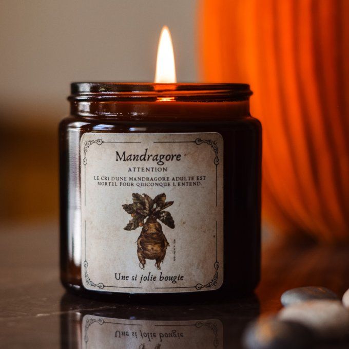 MANDRAGORE