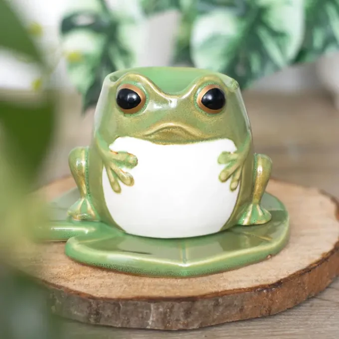Brûleur grenouille sur nénuphar