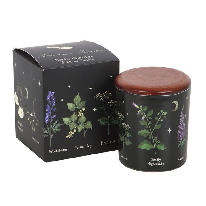 Bougie parfumée à la morelle mortelle